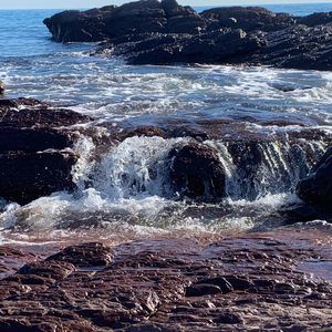 Meet your Posher, Wayne rachael april